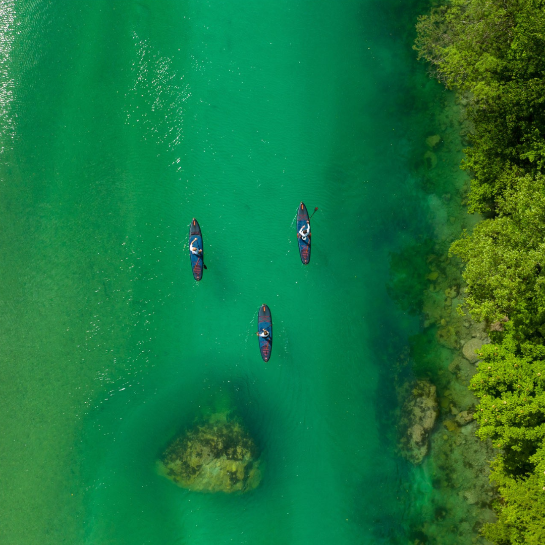 Paddle Sup Jobe Duna Elite 11.6